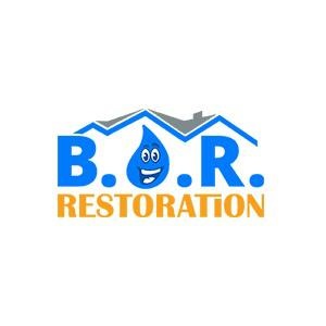 Best Option Restoration (B.O.R.) of Travis County