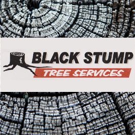 stumpremovaladelaidehills