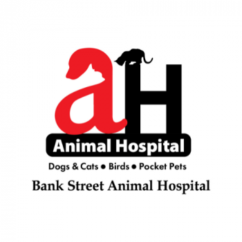 Bank Street Animal Hospital