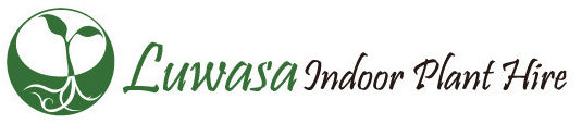 luwasaplant