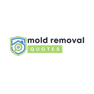 Heroic Pueblo Mold Removal