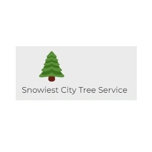 Snowiest City Tree Service