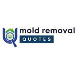New Castle Esteemed Mold Removal