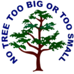 Matt's Maintenance Tree Service