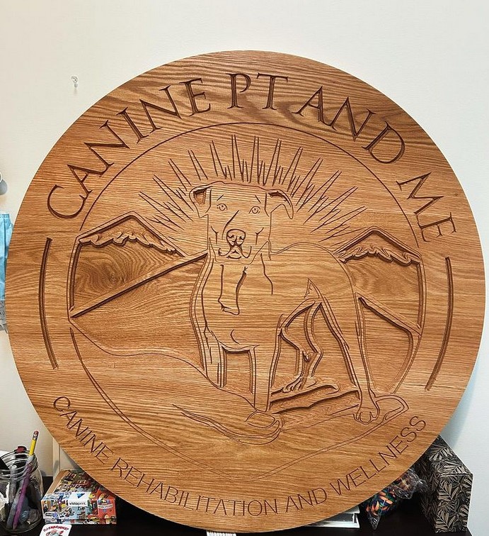 Dog Physical Therapist Near Me