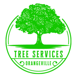 orangevilletreeservice1