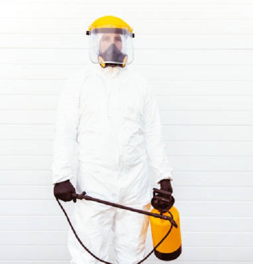 Intervention Anti Nuisible