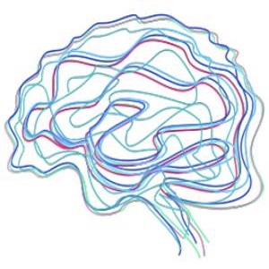 Brain Spa