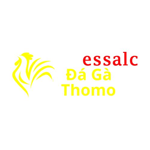 Da Ga Truc Tiep Thomo