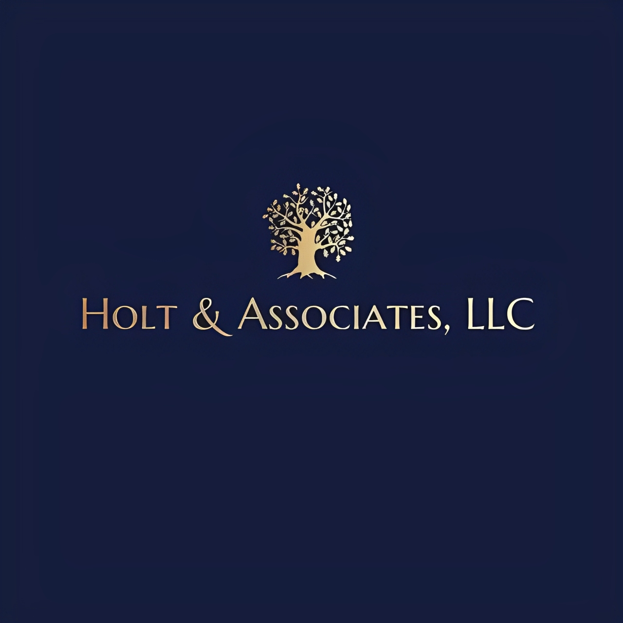 LD Holt & Associates PC