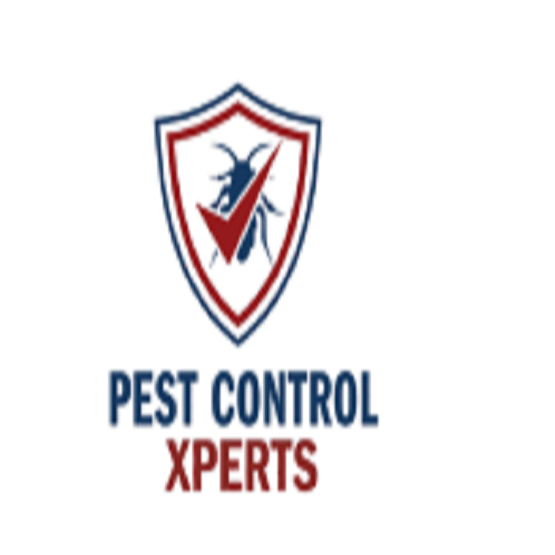 Brea Pest Control Experts