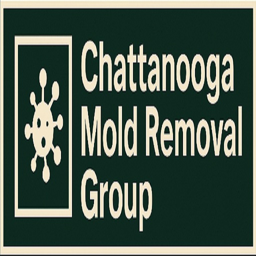 Chattanooga Mold Removal Group