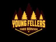 youngfellers