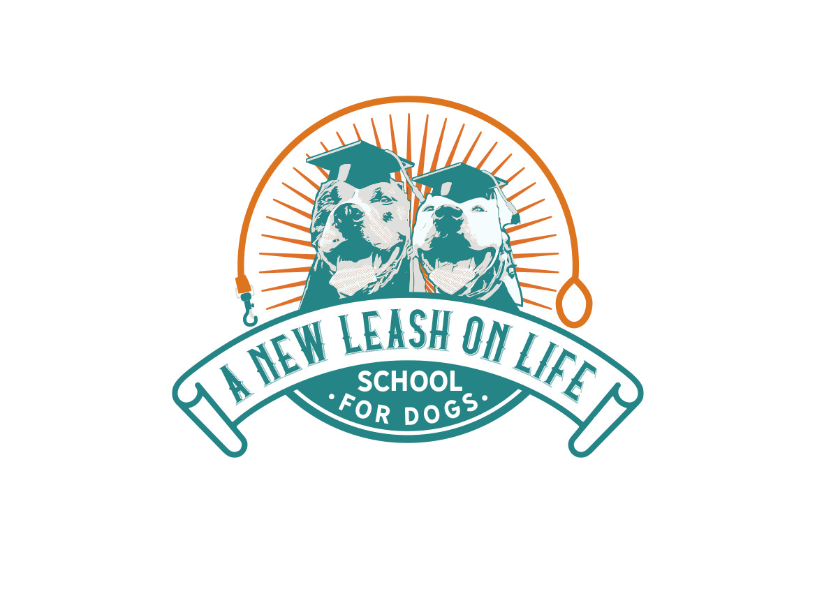 anewleashonlifeschoolfordog