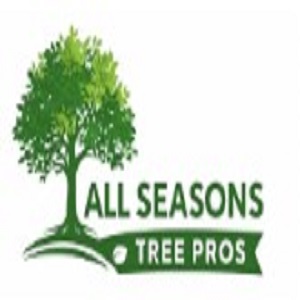 All Seasons Tree Pros