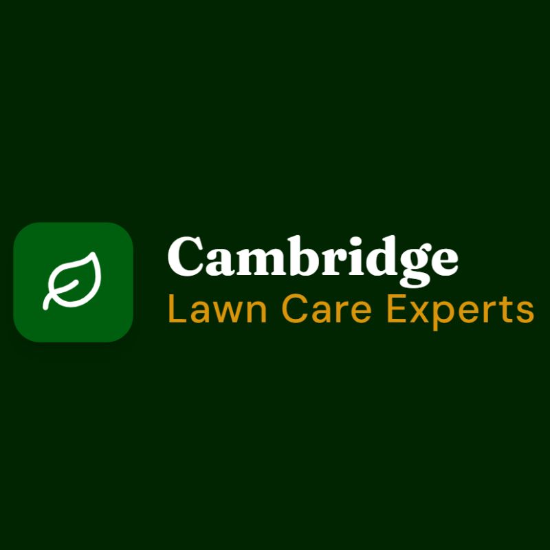 Cambridge Lawn Care Experts