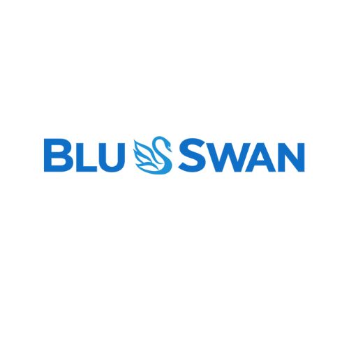 Blu Swan Express Carwash