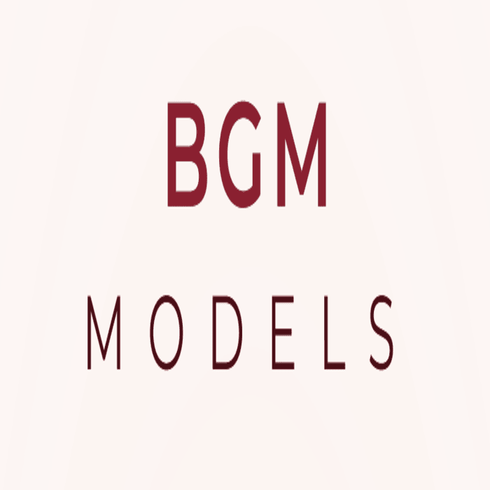 Division Model Management
