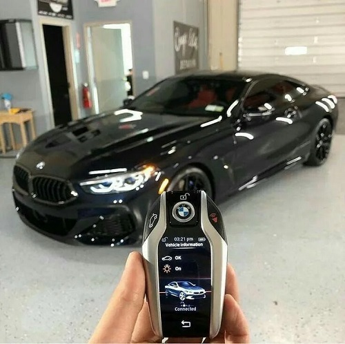Flying Dragon Car key