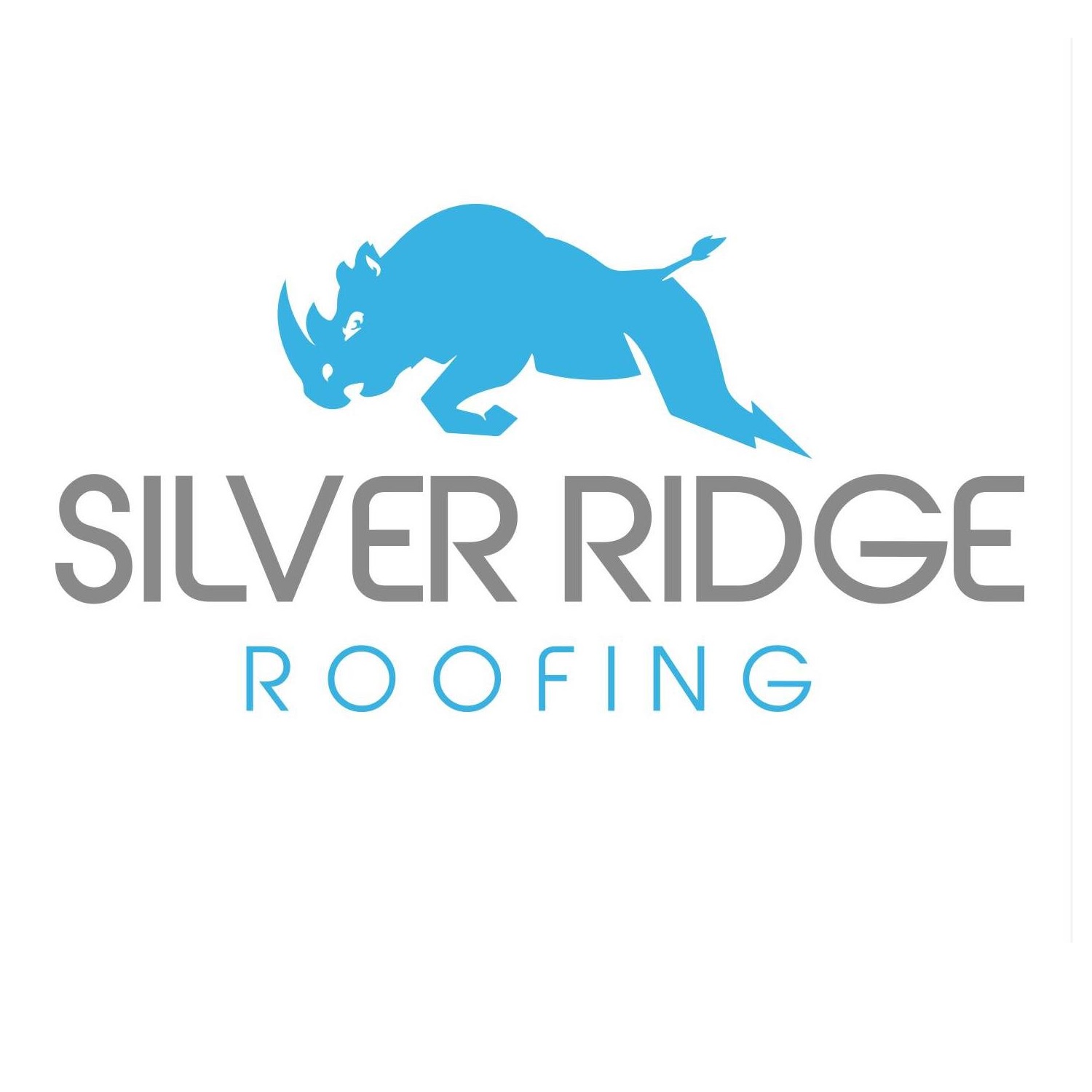 Silver Ridge Roofing & Construction