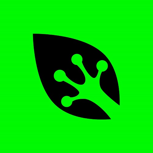 Green Gecko Pest Solutions