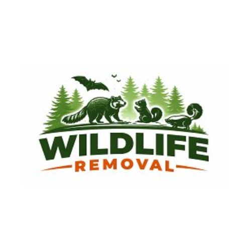 Wildlife Removal Pros
