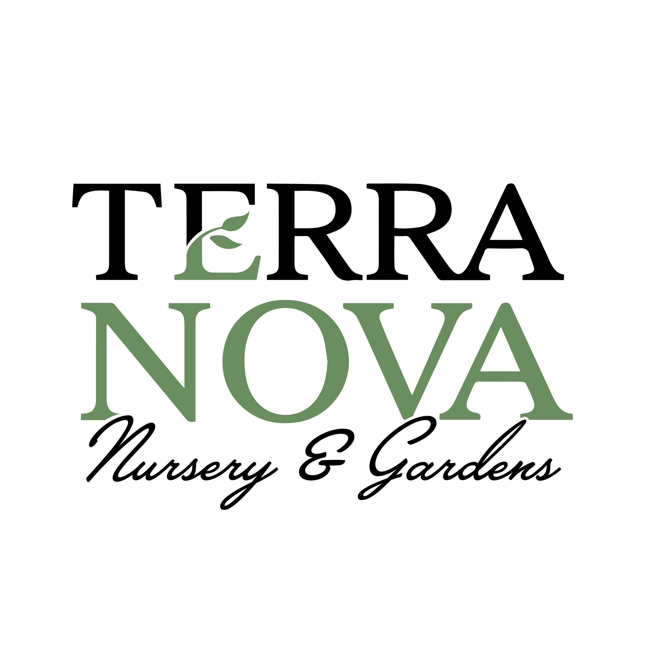 terranovanursery