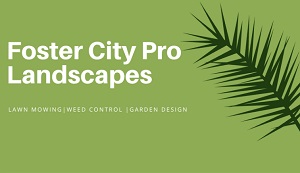 Foster City Pro Landscapes