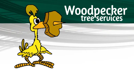 Woodpeckers Tree Services