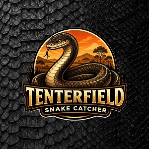Hudson Snake Catching Tenterfield