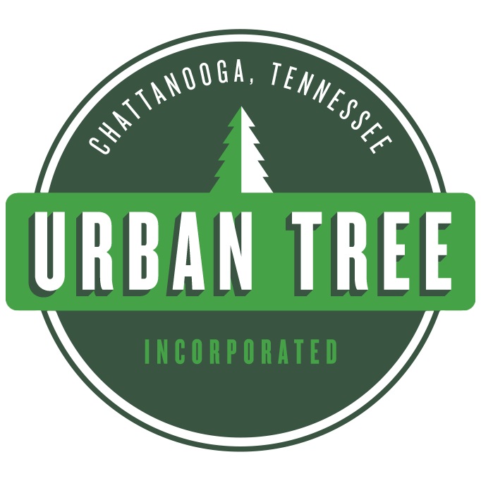 Urban Tree