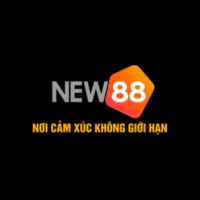 linnew881com