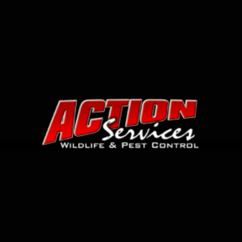 Action Services WildLife & Pest Control
