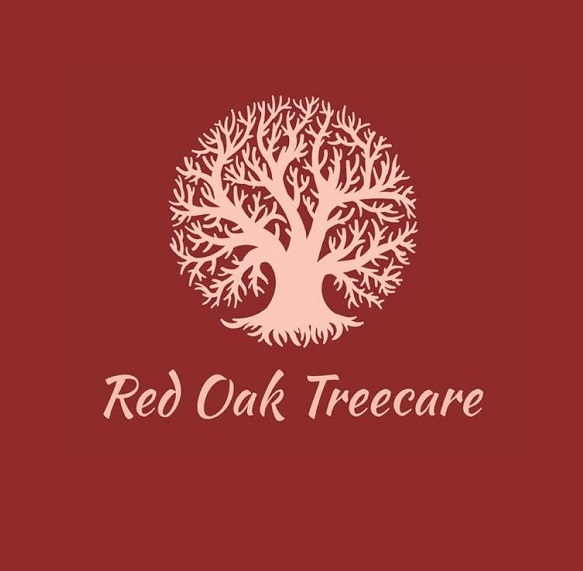 Red Oak Tree Care