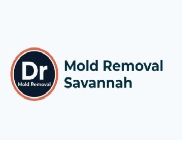 Dr mold removal savannah