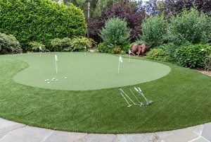 Wesley Chapel Artificial Grass Pros