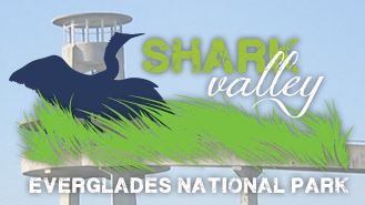 Shark Valley Tram Tours