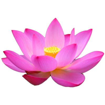 trangphucbongsen