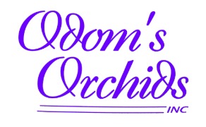 Odom's Orchids Inc