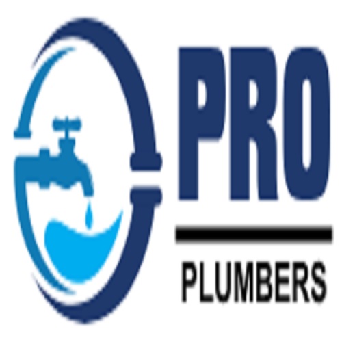 PRO Plumbers - Raymond