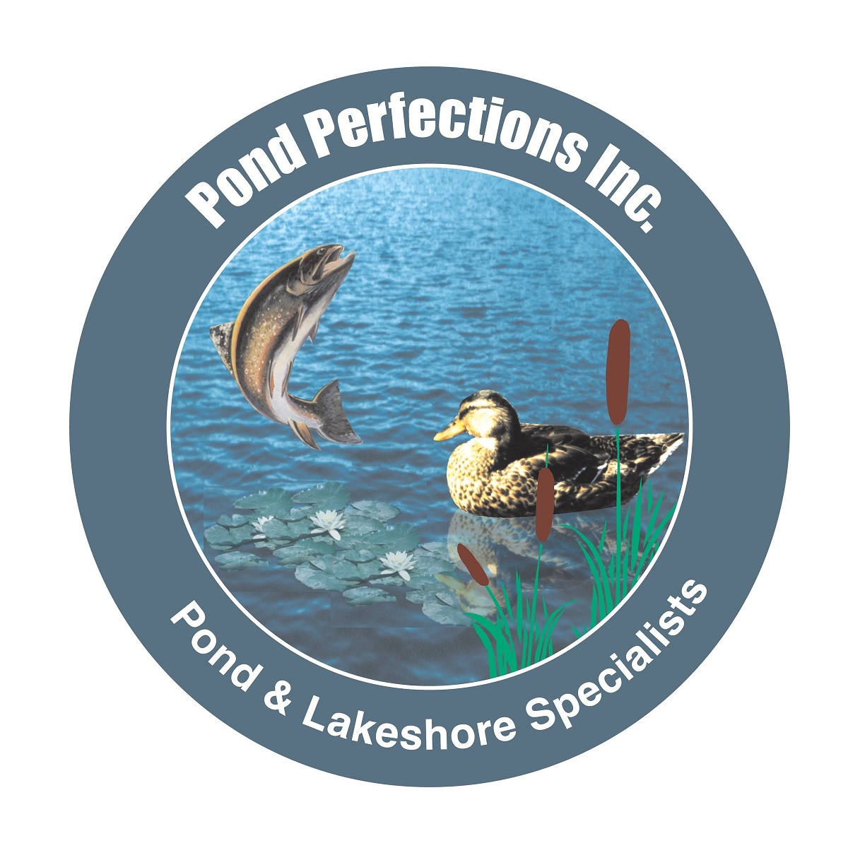 Pond Perfections