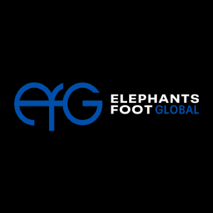 elephantsfootuae elephantsfootuae