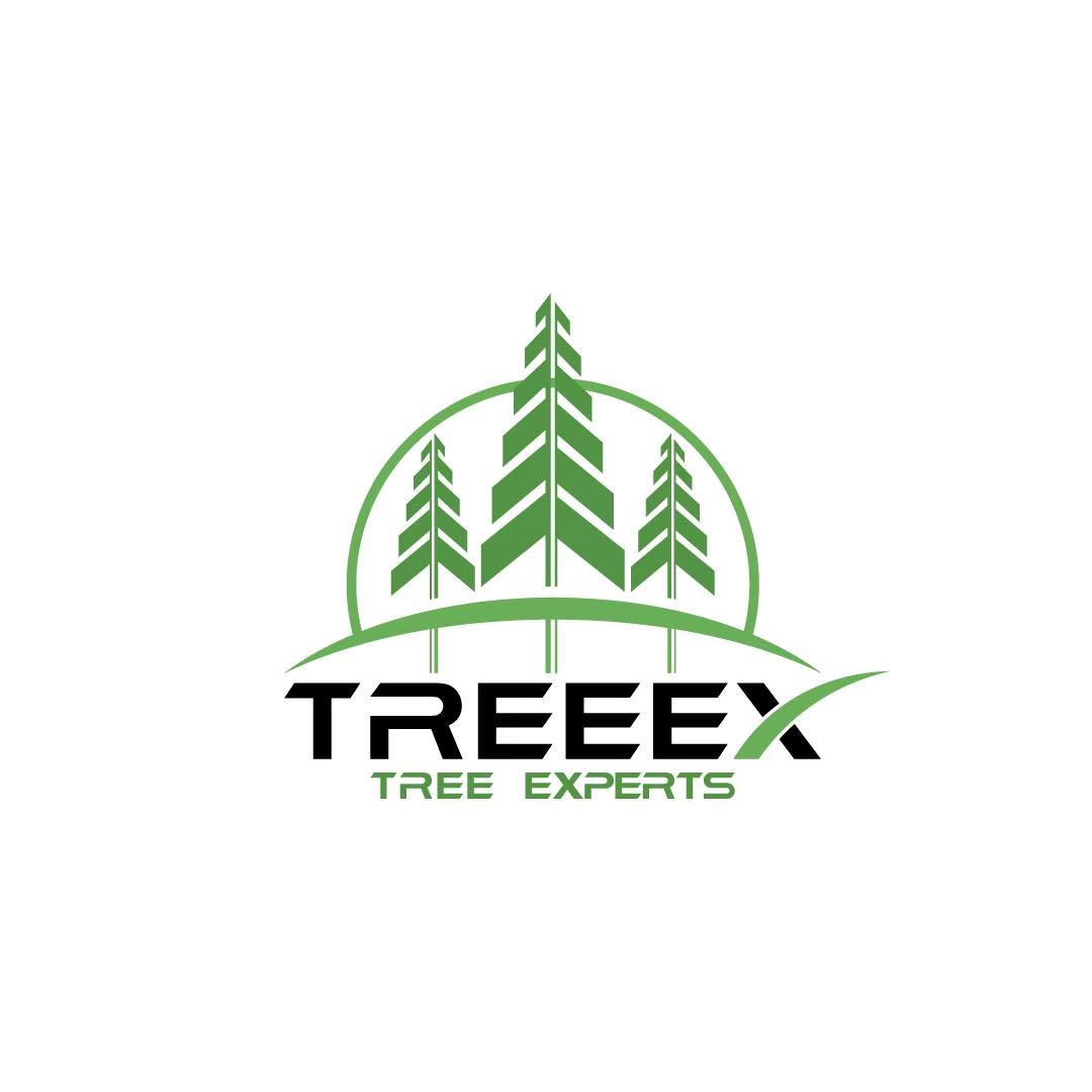 TreeEx Tree Experts