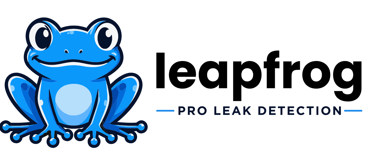 Leapfrog Leak Detection