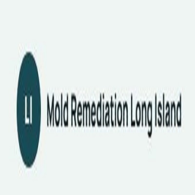 Mold Remediation Guys of Long Island New York