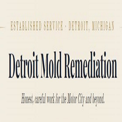 Mold Remediation Pros of Detroit MI