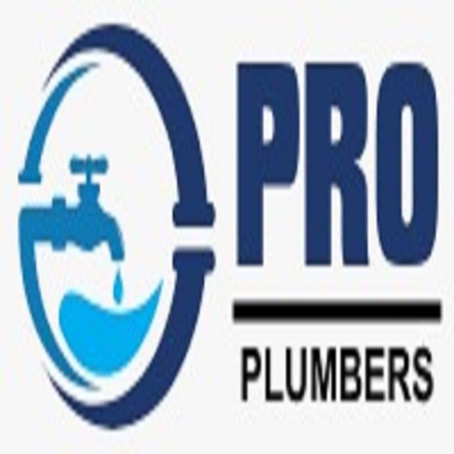 PRO Plumbers - Rockford