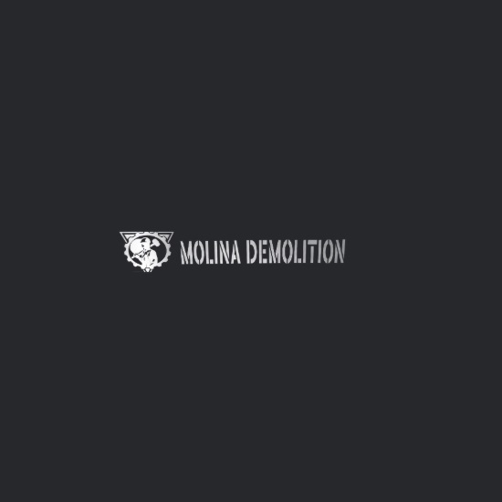 Molina Demolition