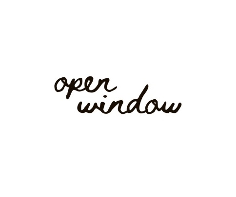 Open Window Organizing