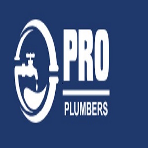 PRO Plumbers – Temple